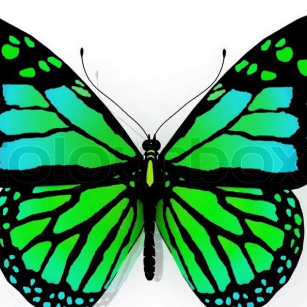 Meet your Posher, Butterfly PNW